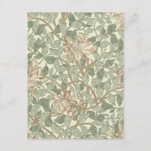 Postal William Morris Honeysuckle Green Floral