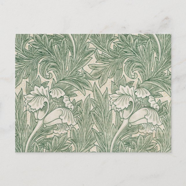 Postal William Morris Verde Salvia Estampado de Tulipán:  (Anverso)
