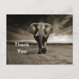 Postal Willife Bull Elephant Foto Gracias