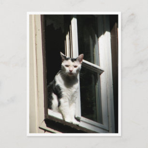 Postal Willkommen im Cafè Rilke