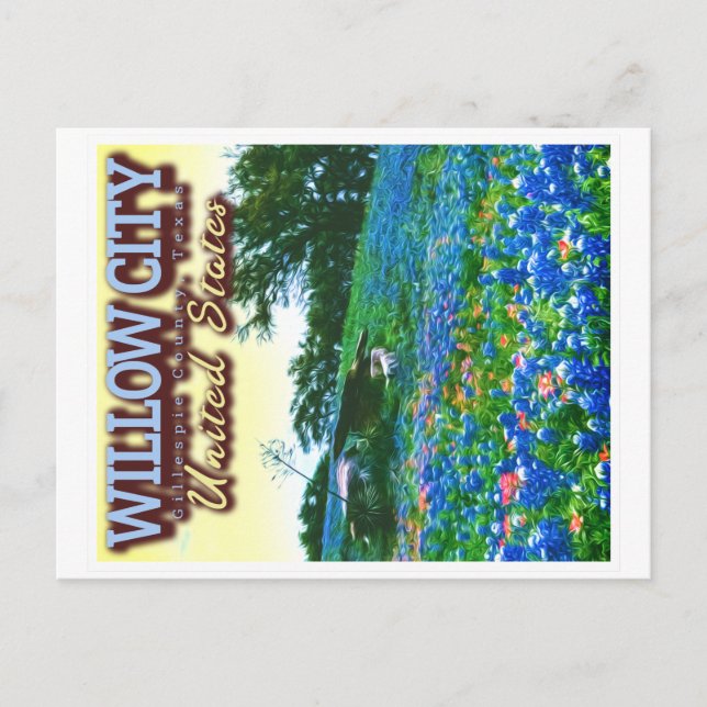 POSTAL WILLOW CITY TEXAS - WILLOW CITY LOOP - BLUEBONNET (Anverso)