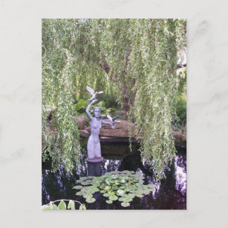 Postal Willow lloroso