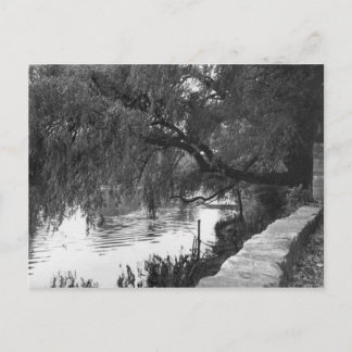 Postal Willow Sobre El Río