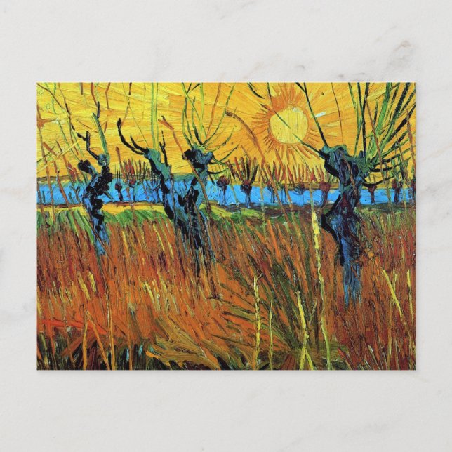 Postal Willows at Sunset (F572) Van Gogh Bella Artes (Anverso)