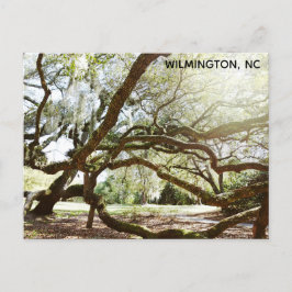 Postal Wilmington North Carolina Airlie Gardens Live Oak