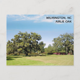 Postal Wilmington North Carolina Airlie Oak Tree