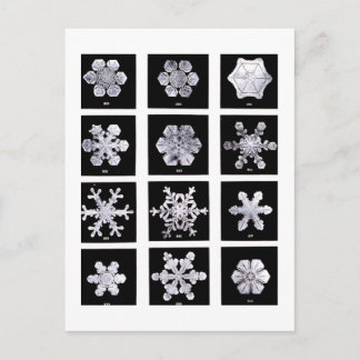 Postal Wilson Bentley Snowflakes