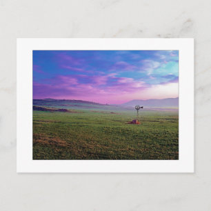 Postal " Winchester Windmill "