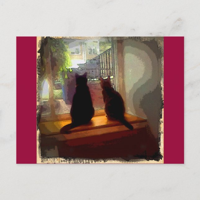 Postal Window Gazing Kitties CB (Anverso)