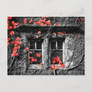 Postal Windows enmarcado con hojas de otoño