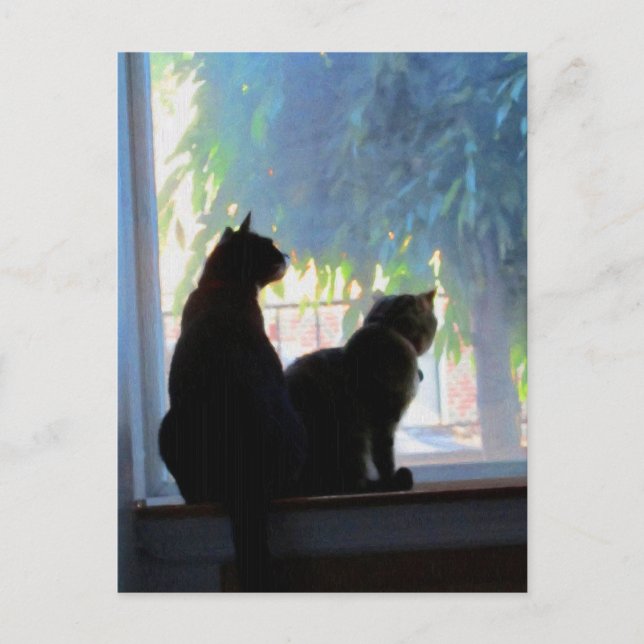 Postal Windows Gazing Kitties (Anverso)