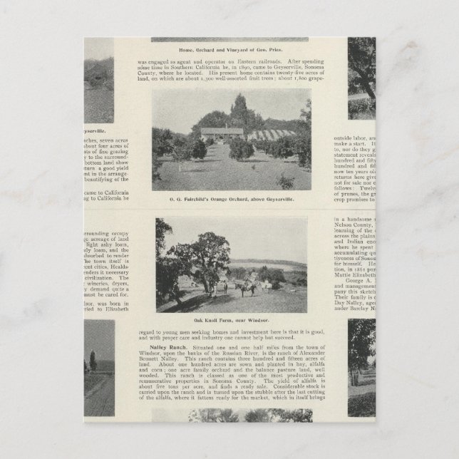 Postal Windsor, California (Anverso)