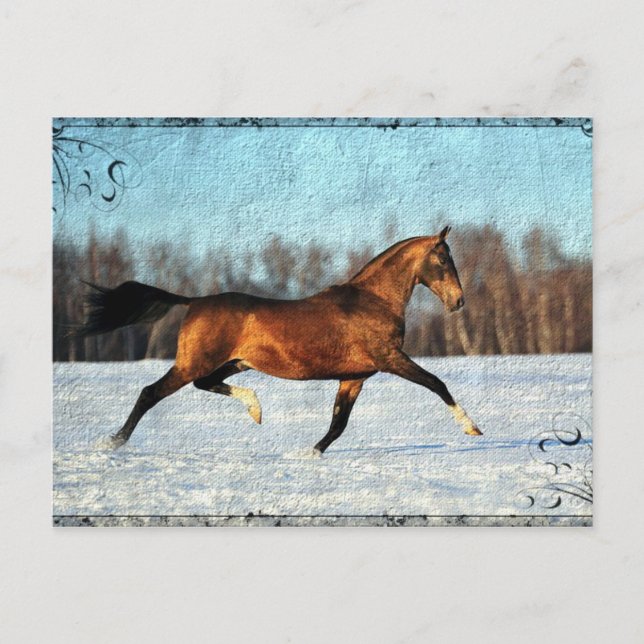 Postal Winter Akhal-teke (Anverso)