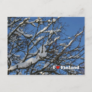 Postal Winter Berries