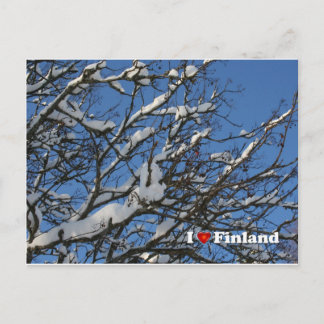 Postal Winter Berries