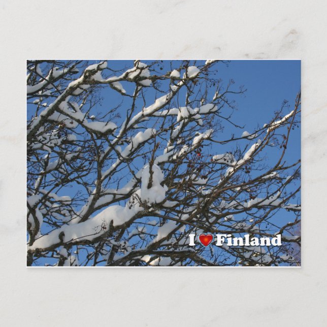 Postal Winter Berries (Anverso)