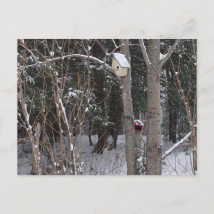 Postal Winter Bird House