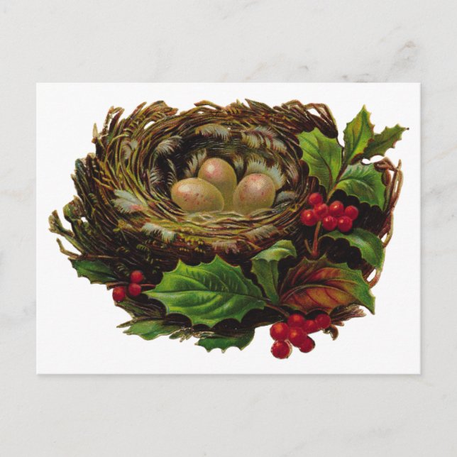 Postal Winter Bird Nest (Anverso)