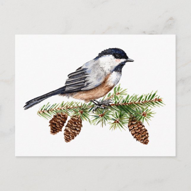 Postal Winter Chickadee (Anverso)
