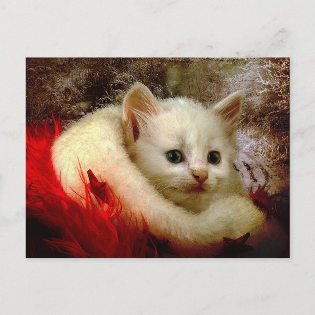 Postal Winter Kitty (Anverso)