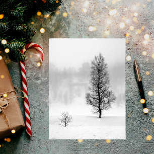 Postal Winter landscape with tree in fog