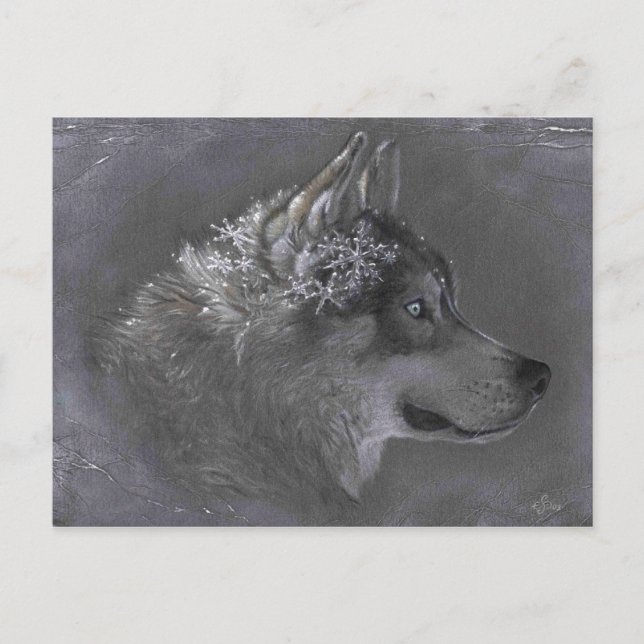 Postal Winter Maker (Anverso)