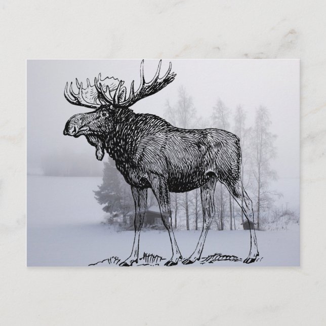 Postal Winter Moose (Anverso)