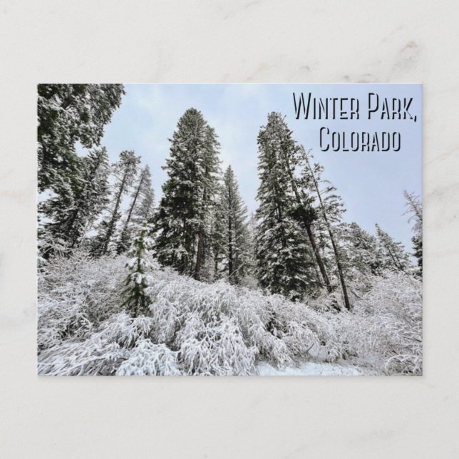 Postal Winter Park, Colorado Postcard (Anverso)