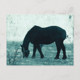 Postal Winter Percheron