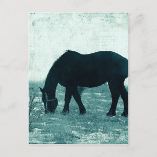 Postal Winter Percheron