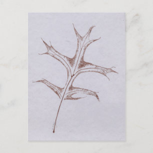Postal "Winter Pin Oak"