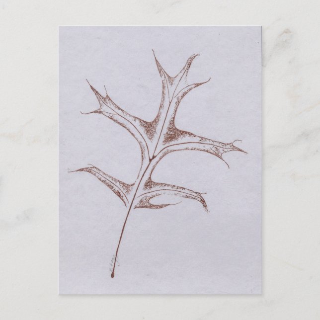 Postal "Winter Pin Oak" (Anverso)