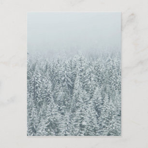 Postal Winter Pines
