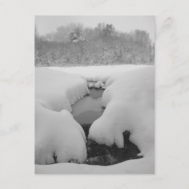 Postal Winter Pond (Anverso)