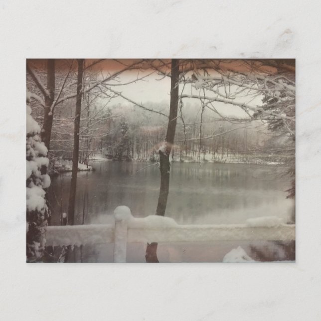 Postal Winter Pond (Anverso)