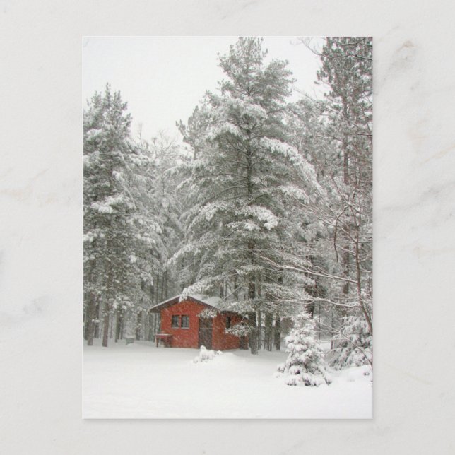 Postal Winter Shed (Anverso)