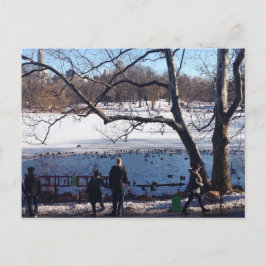 Postal Winter Snow Central Park Lake New York City NYC