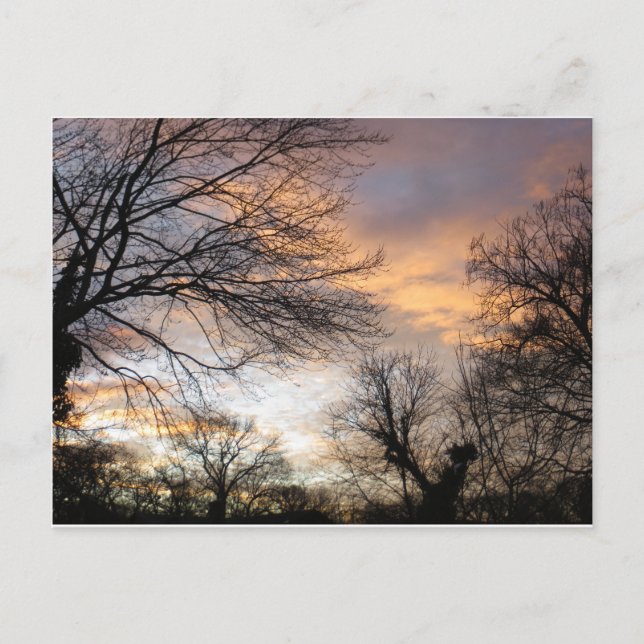 Postal Winter Sunset (Anverso)