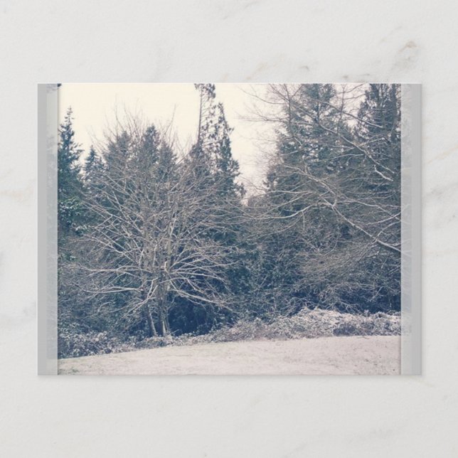 Postal Winter White (Anverso)