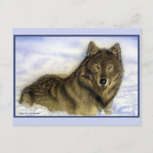 Postal Winter Wolf