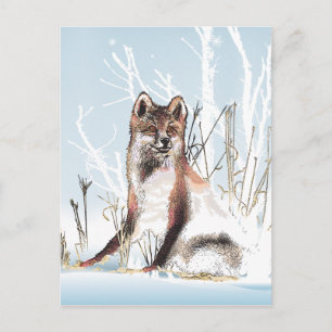 Postal Winter Wolf