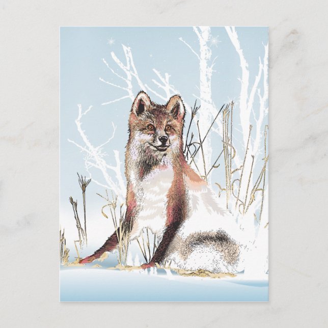 Postal Winter Wolf (Anverso)