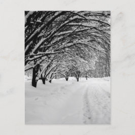 POSTAL WINTER WONDER