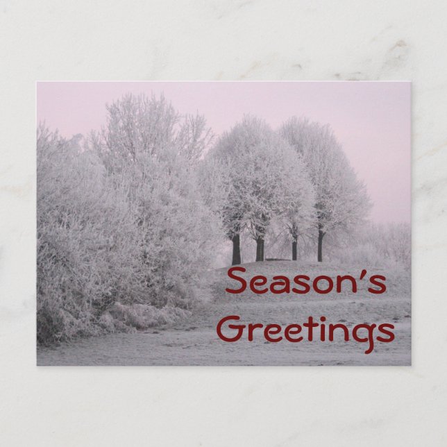 Postal Winter wonderland (Anverso)