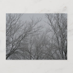 Postal Winter Wonderland