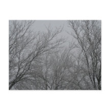 Postal Winter Wonderland