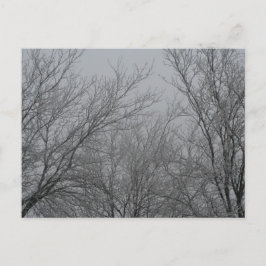 Postal Winter Wonderland