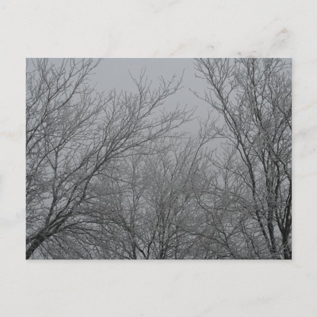 Postal Winter Wonderland (Anverso)