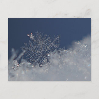 Postal Winter Wonderland