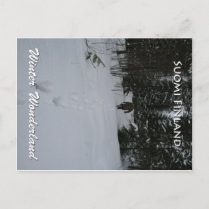 Postal Winter Wonderland